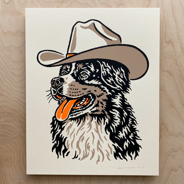 cowboy hats for dogs